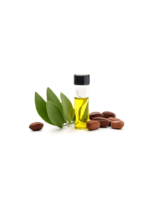 Organic Jojoba Golden Carrier Oil image 1