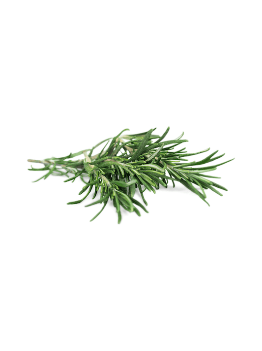 Rosemary 100% Pure Essential Oil image 1