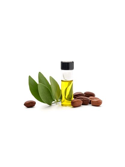 Organic Jojoba Golden Carrier Oil image 1