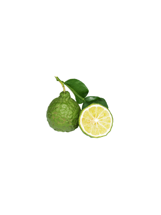 Bergamot 100% Pure Essential Oil image 1