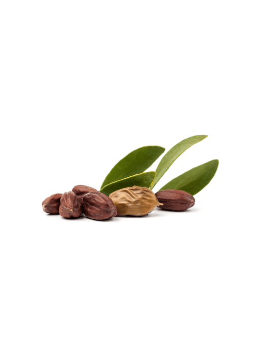 Jojoba Butter image 1