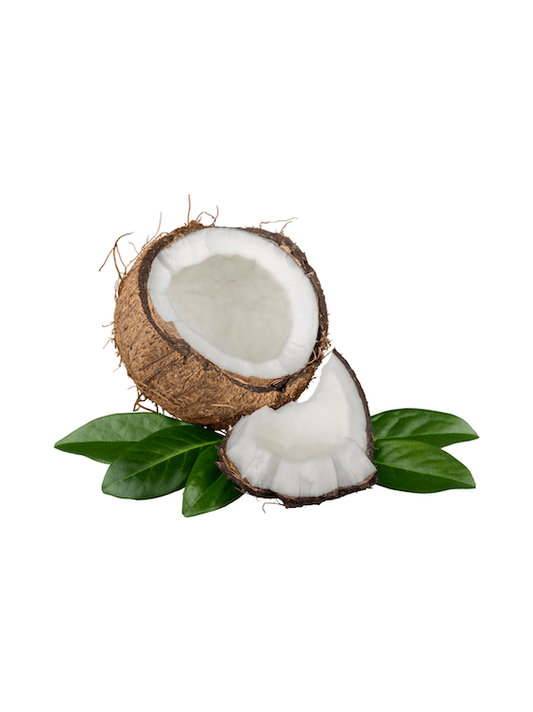 Coconut Butter image 1