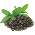 Green Tea Extract